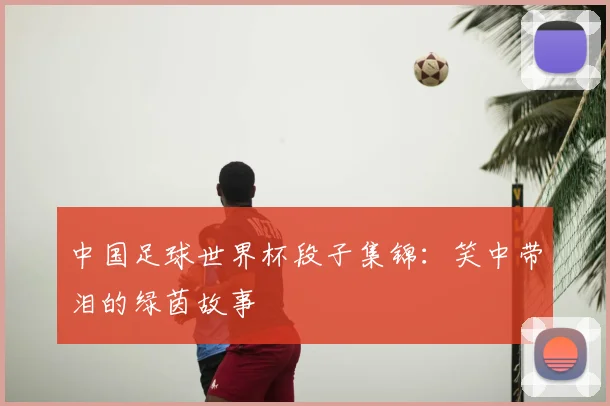 中国足球世界杯段子集锦:笑中带泪的绿茵故事