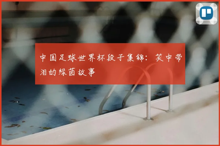 中国足球世界杯段子集锦：笑中带泪的绿茵故事