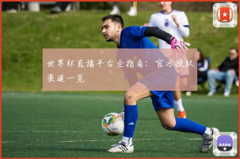 世界杯直播平台全指南：官方授权渠道一览
