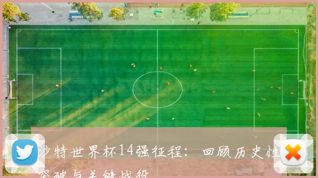 沙特世界杯14强征程：回顾历史性突破与关键战役