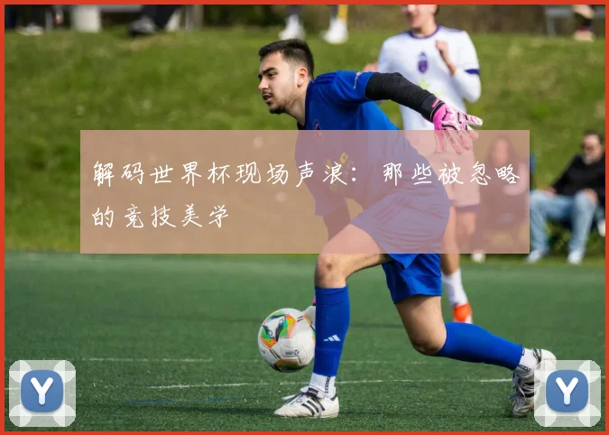 解码世界杯现场声浪：那些被忽略的竞技美学